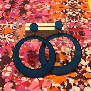 🍓Clear Blue Plastic Y2K Statement Hoop Earrings